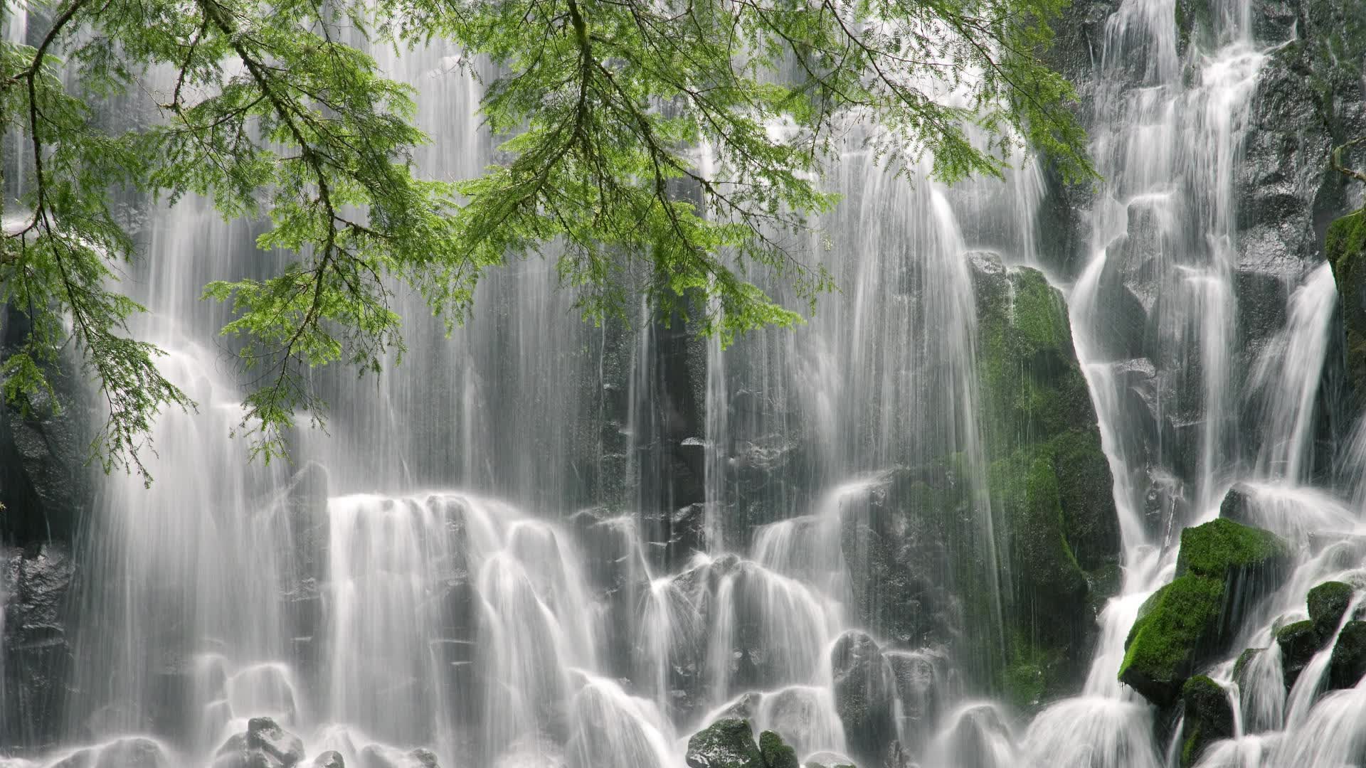世界拳击公开赛:角落战术与裁判沟通获重视,世界拳击争霸赛2020