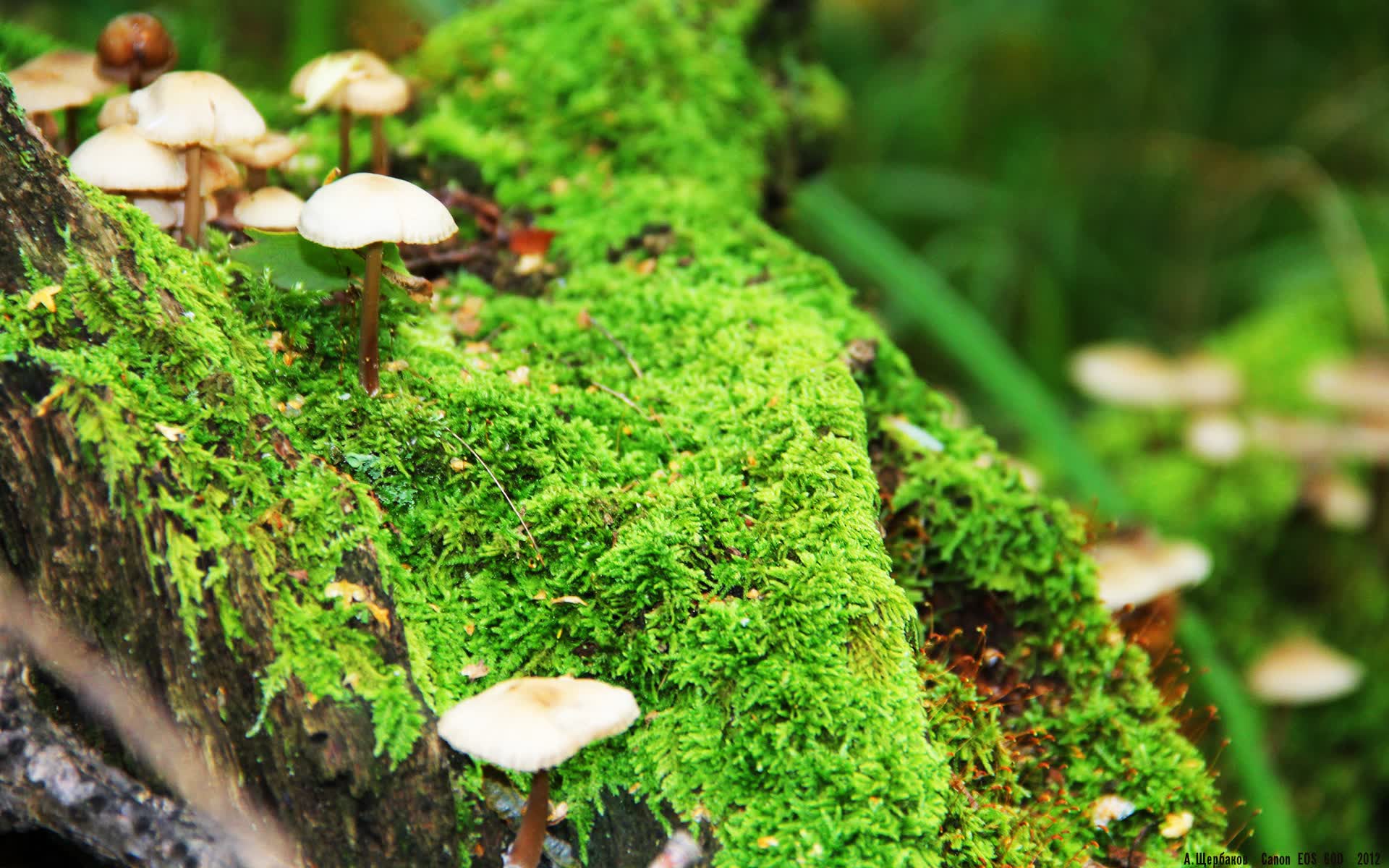 世界游泳反兴奋剂宣传教育进校园活动启动,游泳运动员兴奋剂名单